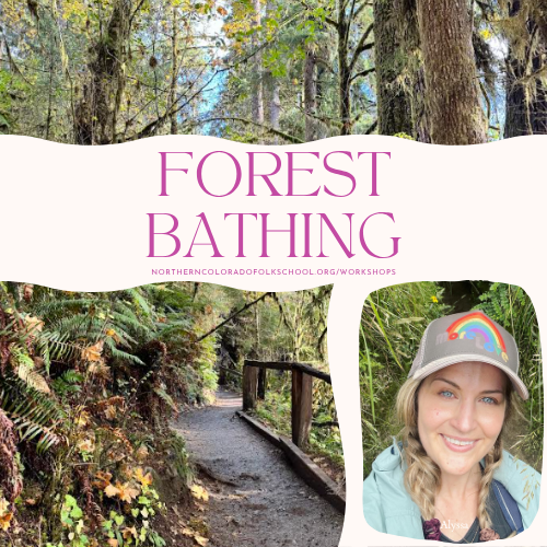 Shinrin-Yoku: Introduction to Forest Bathing