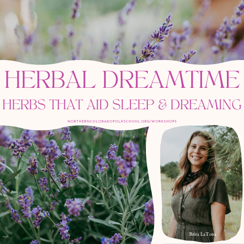 Herbal Dreamtime: Herbs that aid Sleep and Dreaming with Clinical Herbalist Brita LaTona