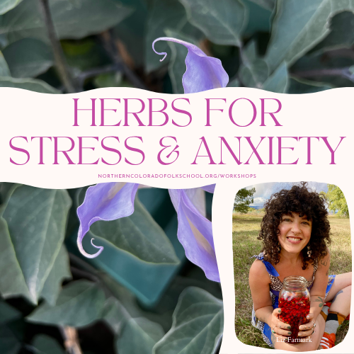 Herbs for Stress & Anxiety with Clinical Herbalist & Nutritionist Liz Faermark
