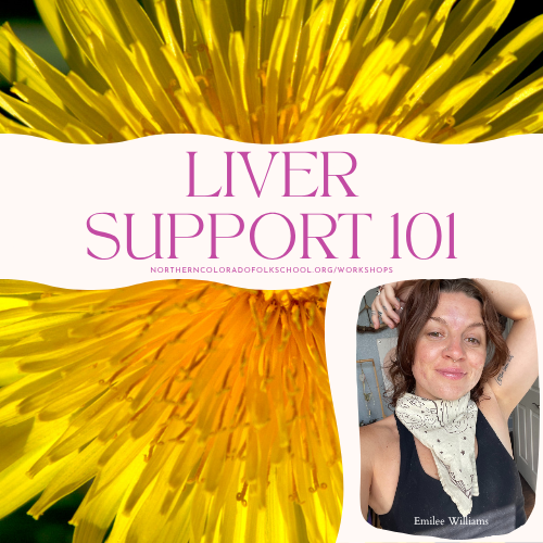 Liver Support 101