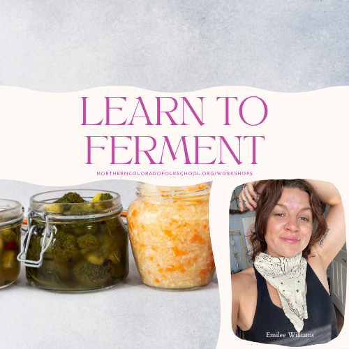 Learn to Ferment