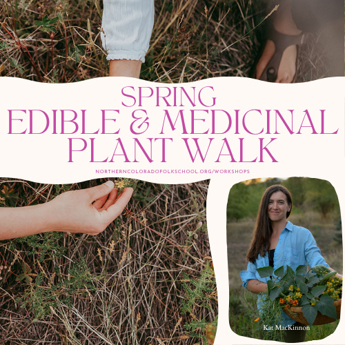 Spring Edible & Medicinal Plants Walk with Herbalist & Botanist Kat MacKinnon