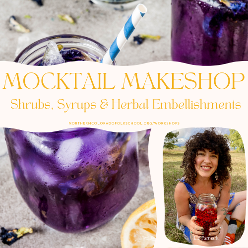 Mocktail Makeshop: Shrubs, Syrups & Herbal Embellishments