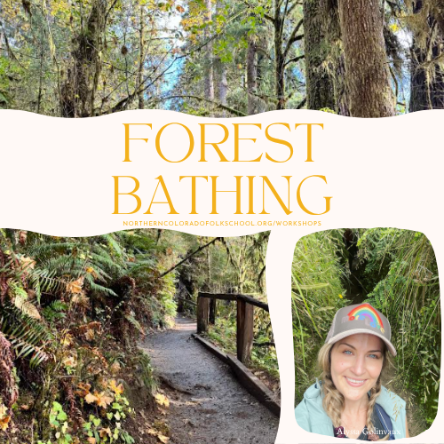 Forest Bathing