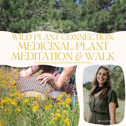 Wild Plant Connection: Plant Meditation & Medicinal Plant Walk