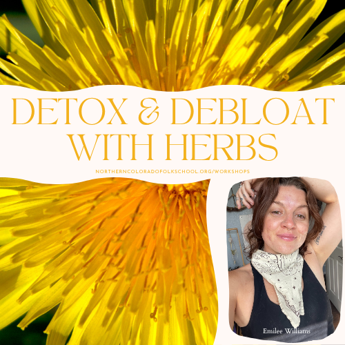 Detox and Debloat with Herbs