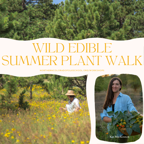 Wild Edible Summer Plant Walk