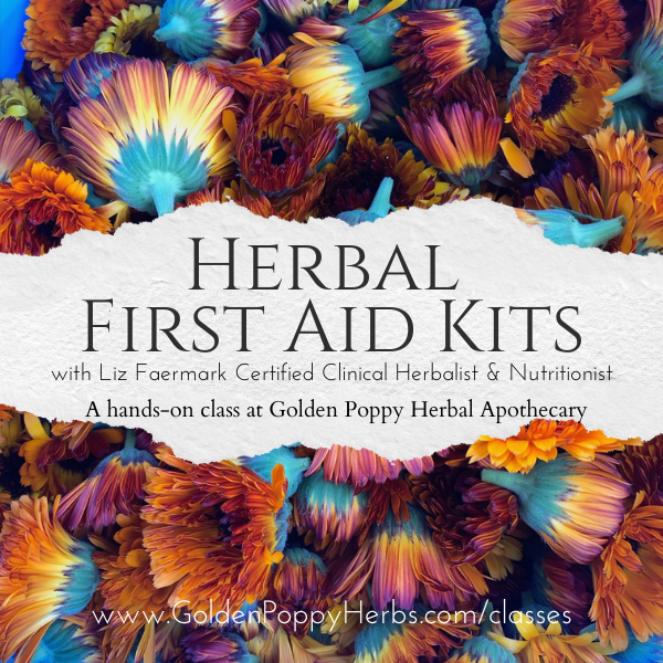 Herbal First Aid Kits with Herbalist Liz Faermark