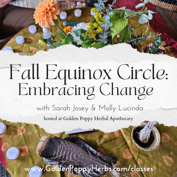 Fall Equinox Circle: Embracing Change