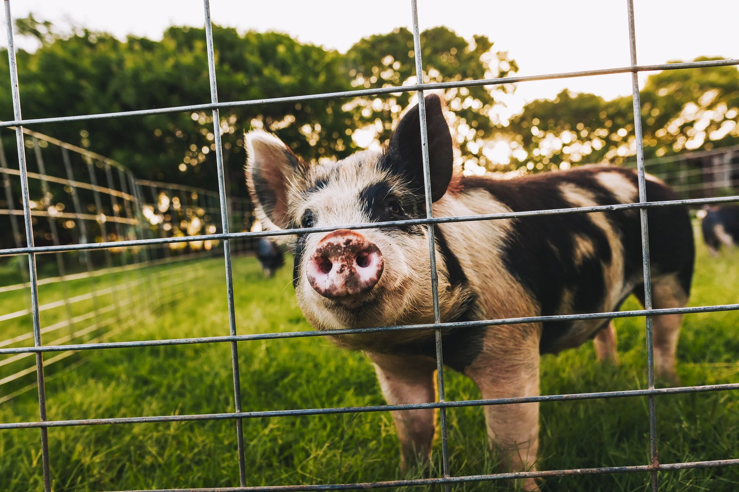 2022 06 17_RefarmTest-80.jpg