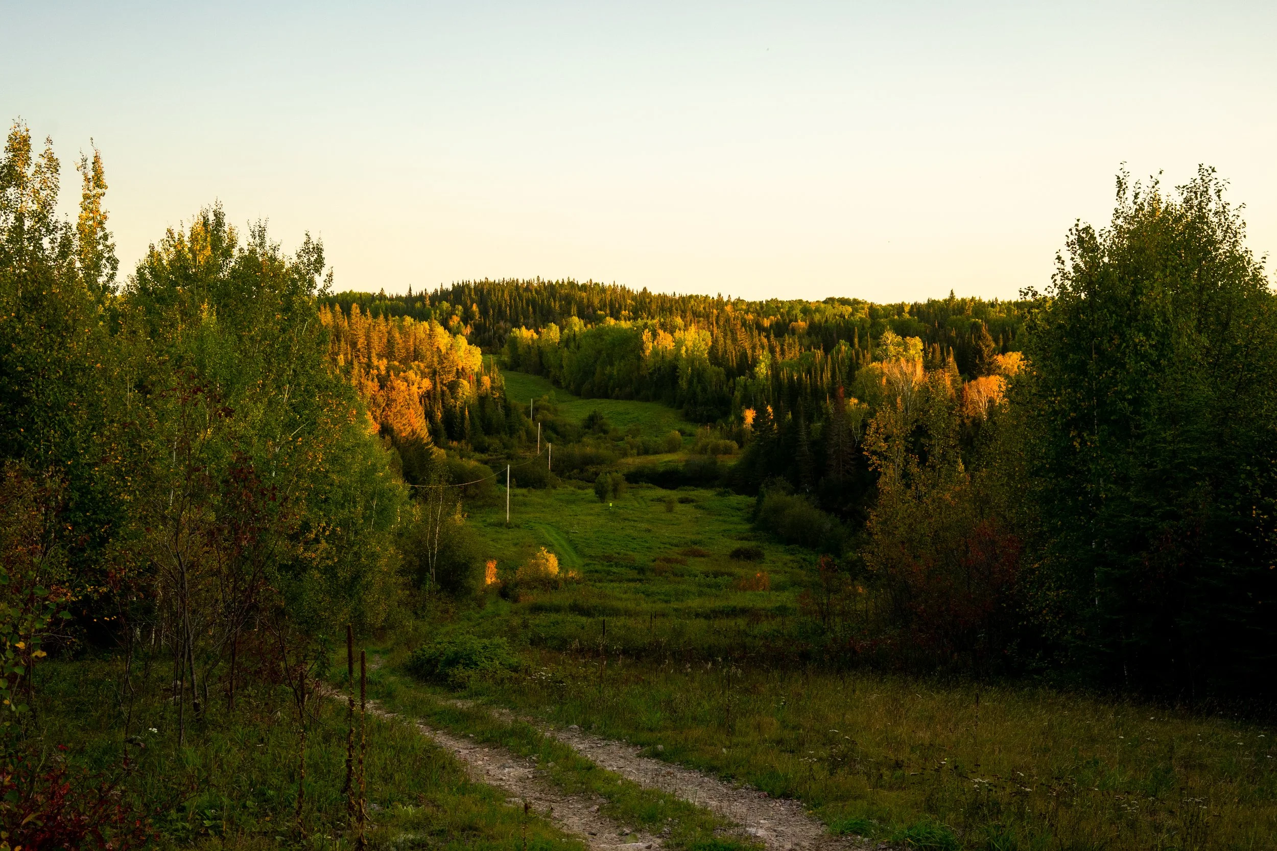 North Website-13.jpg