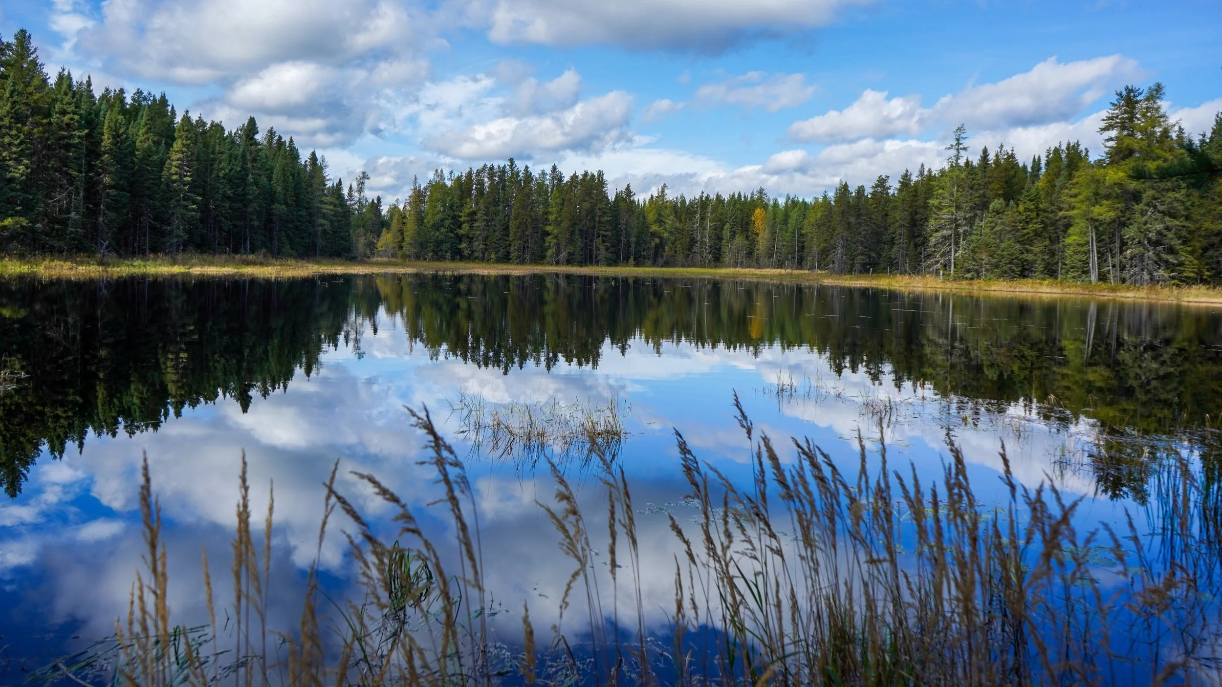 Northern+pond-1.jpg