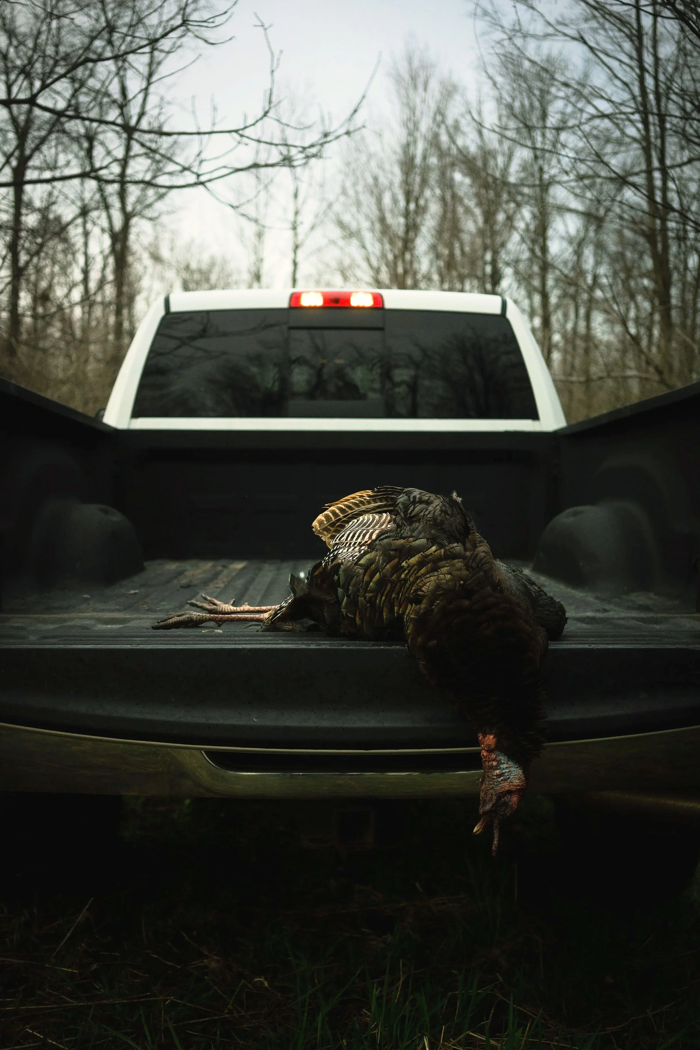 Turkey+Truck+2022.jpg