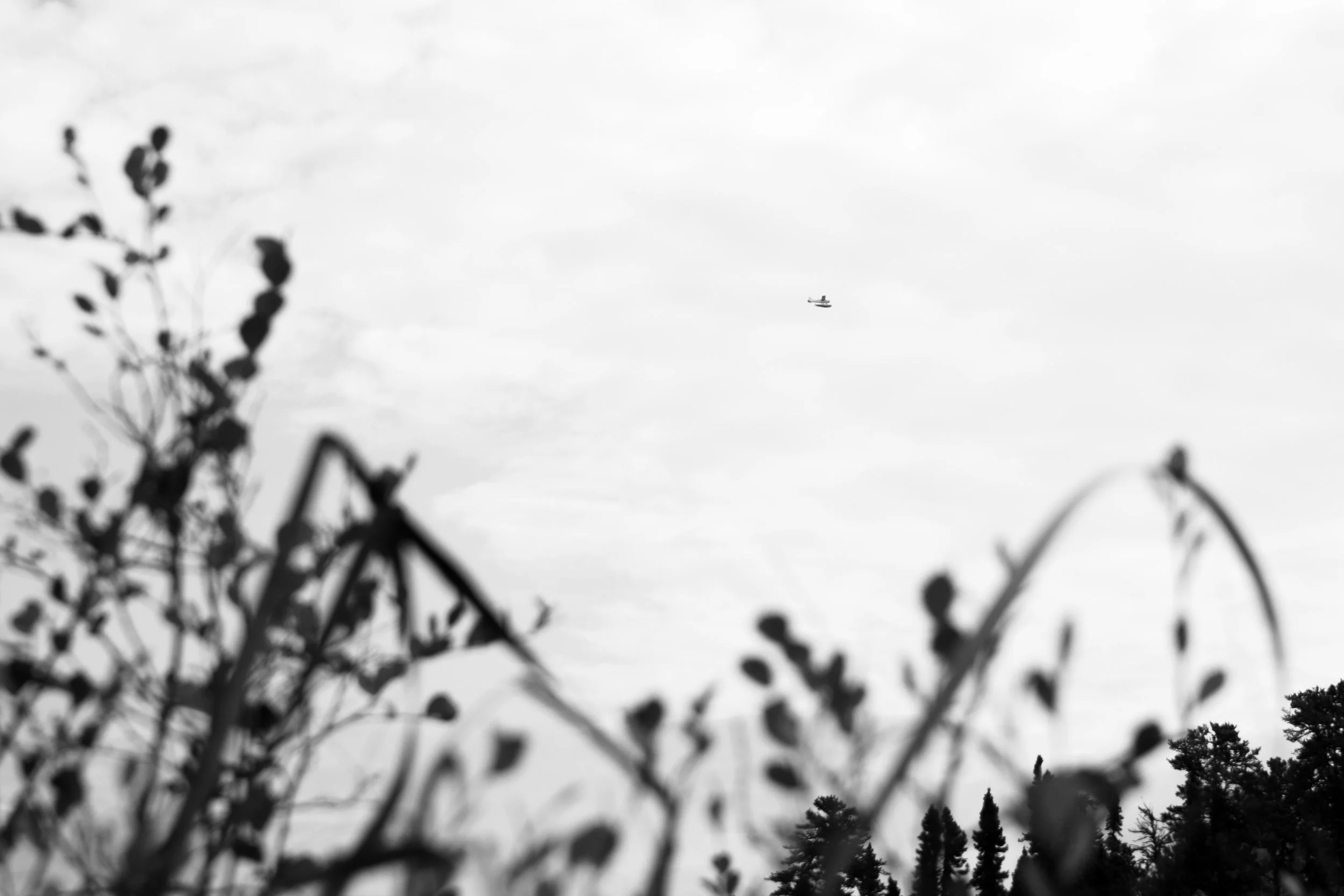 North Website-28.jpg