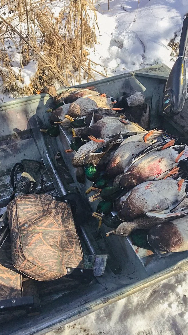 Waterfowl Website.jpg
