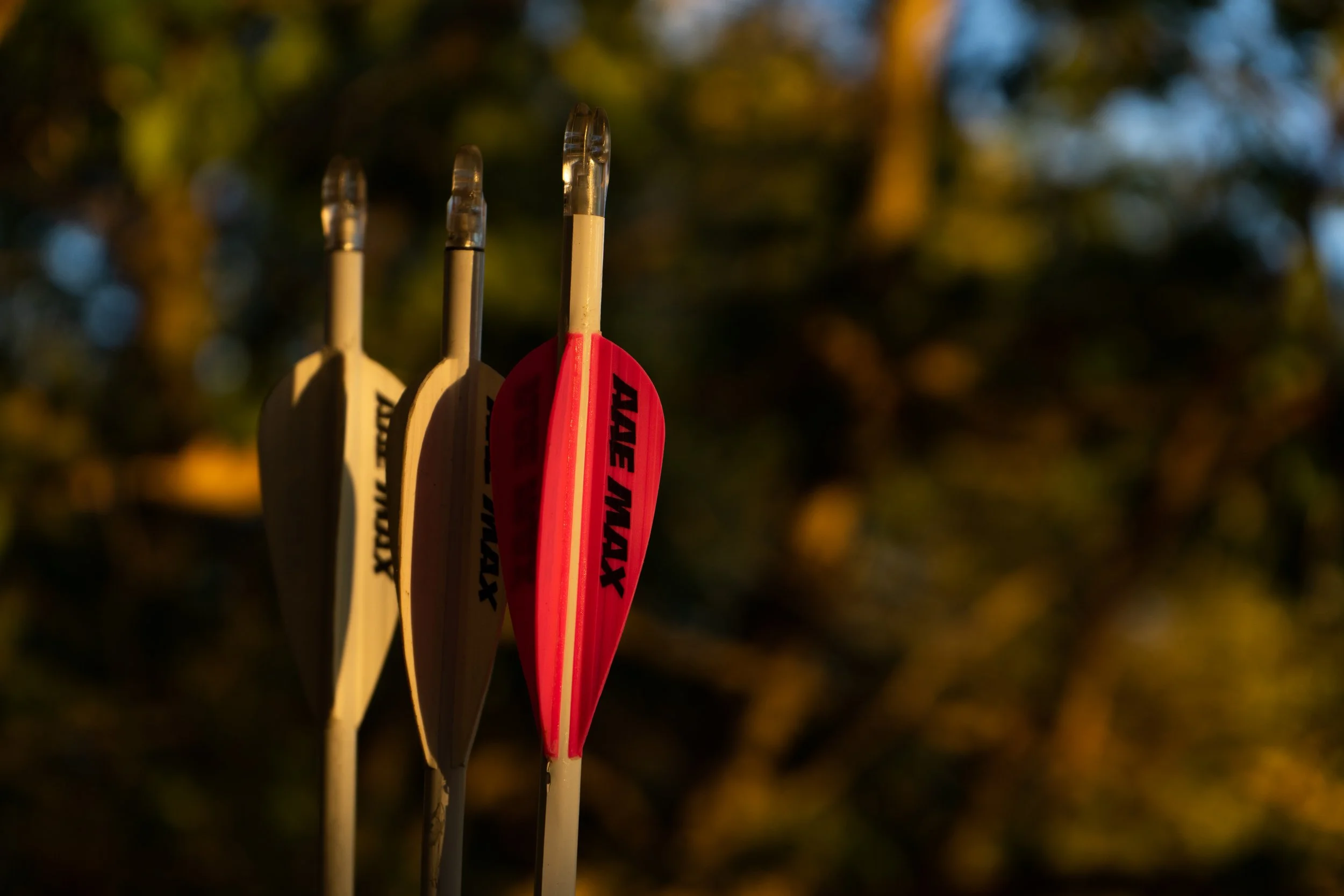 Whitetail Website-39.jpg