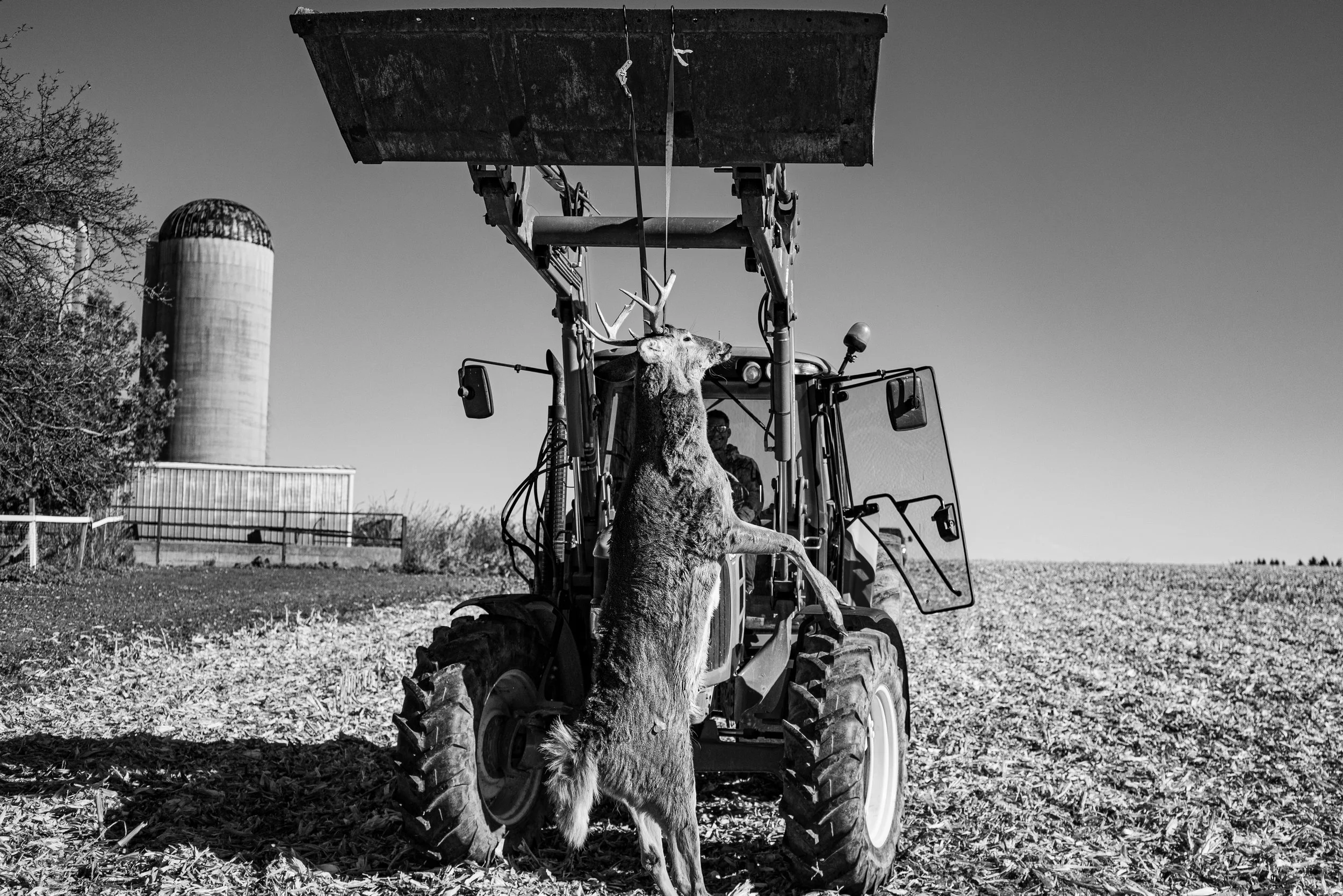 Whitetail Website-06.jpg