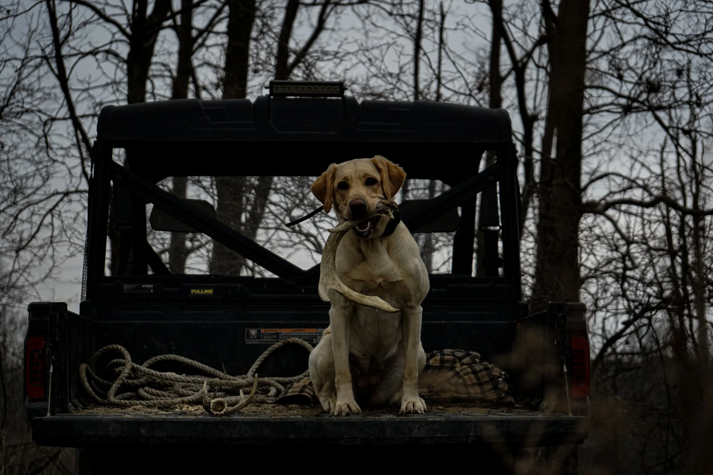 Whitetail Website-34.jpg