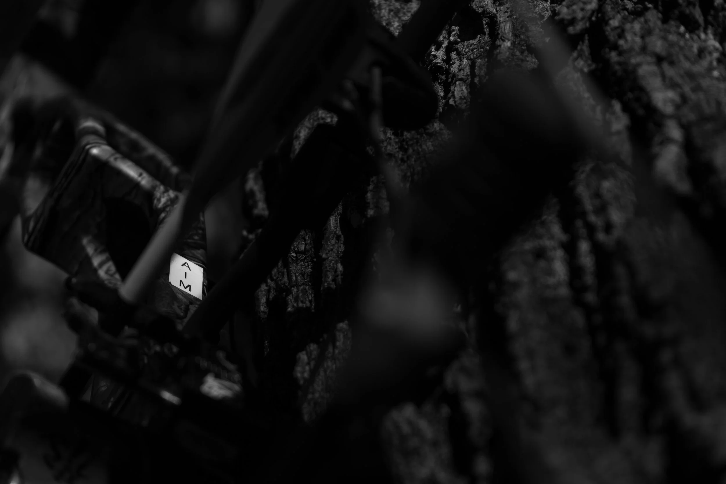 Whitetail Website-40.jpg