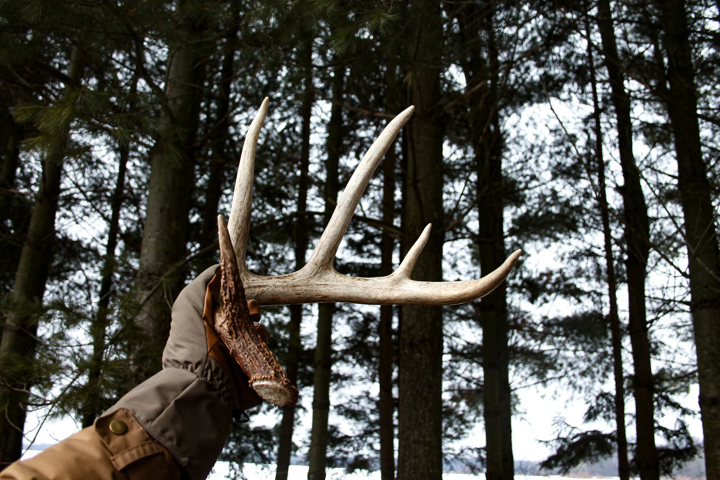 Whitetail Website-24.jpg