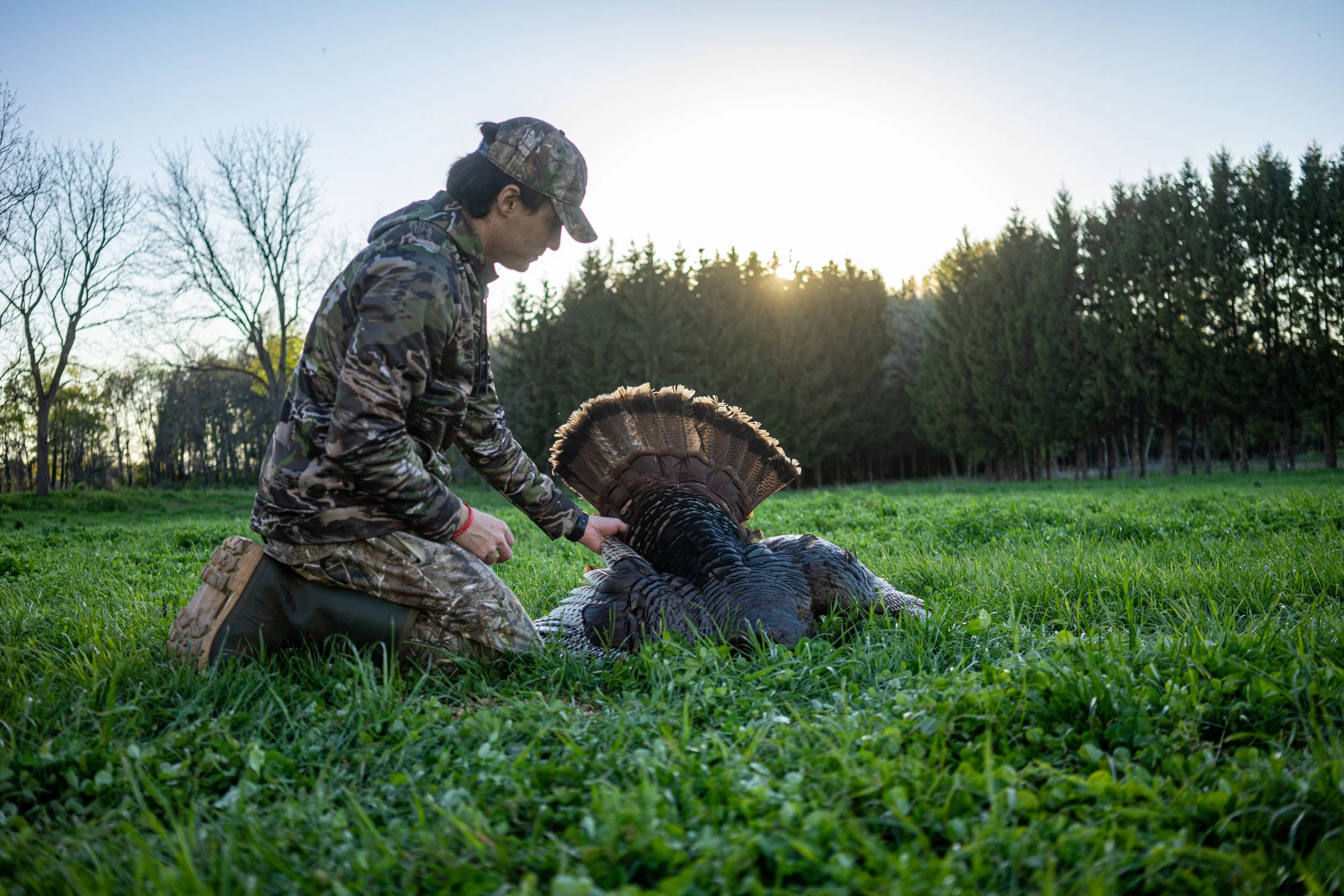 Turkeys Website-06.jpg