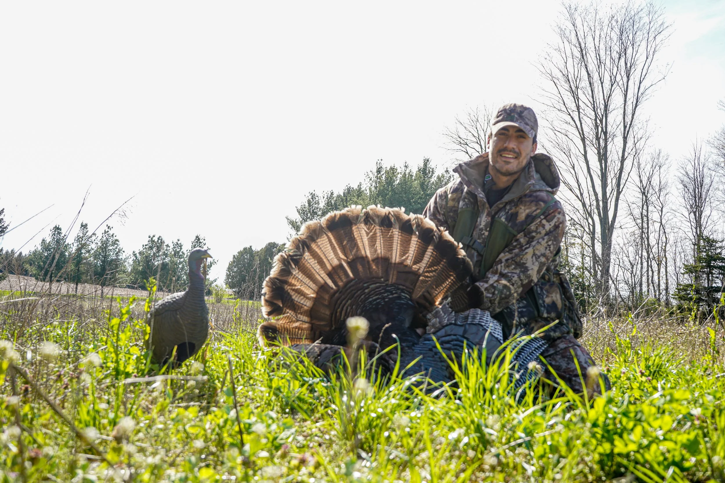 Turkeys Website-29.jpg