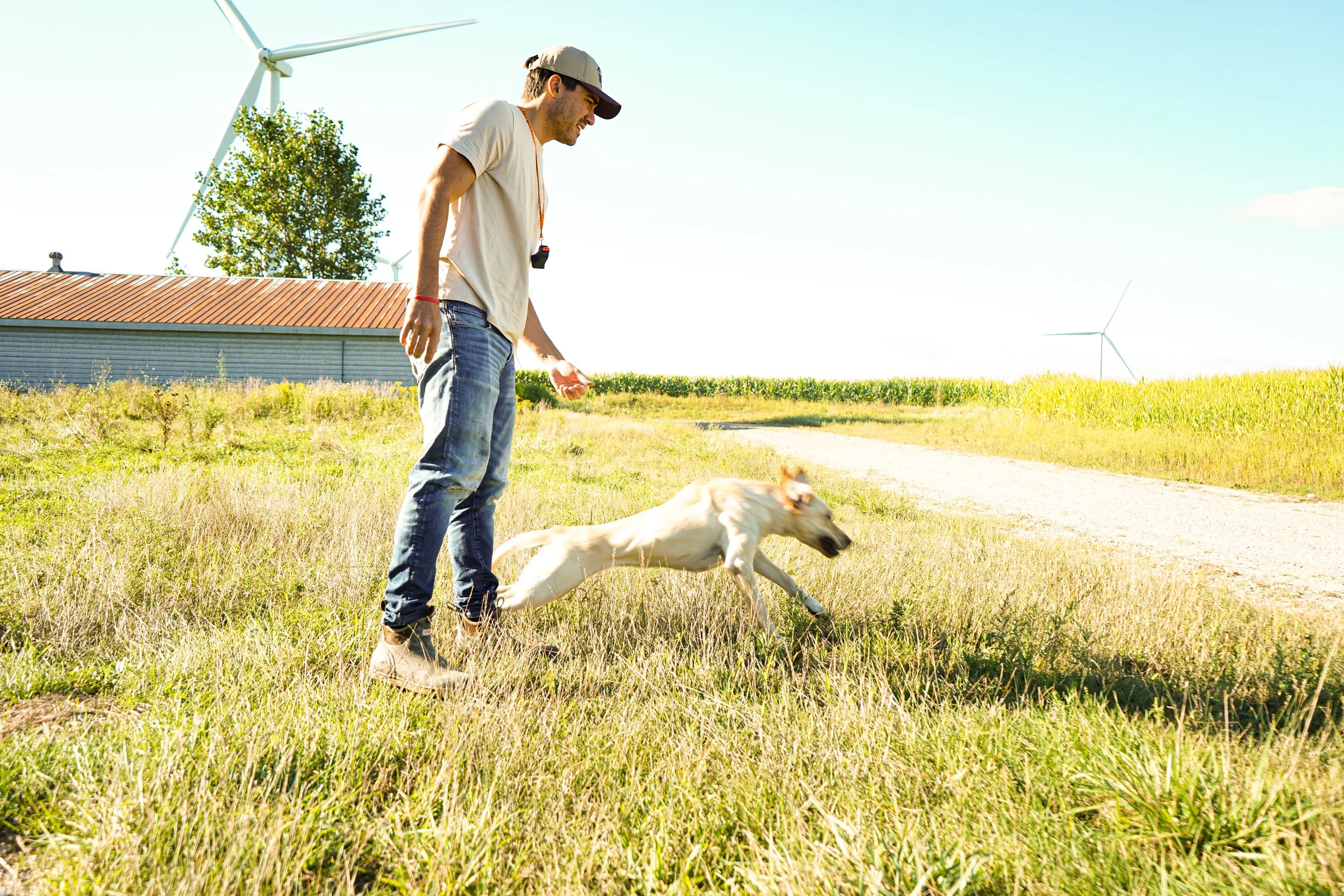 Dove Hunt -4 2.jpg