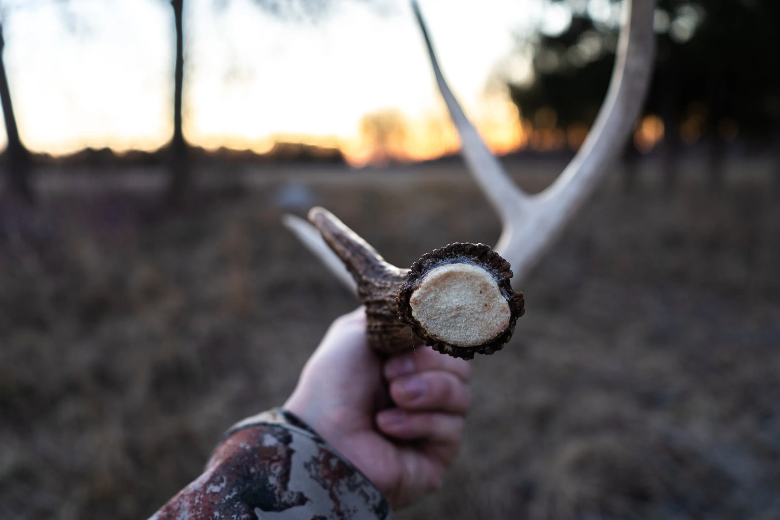 Whitetail Website-31.jpg