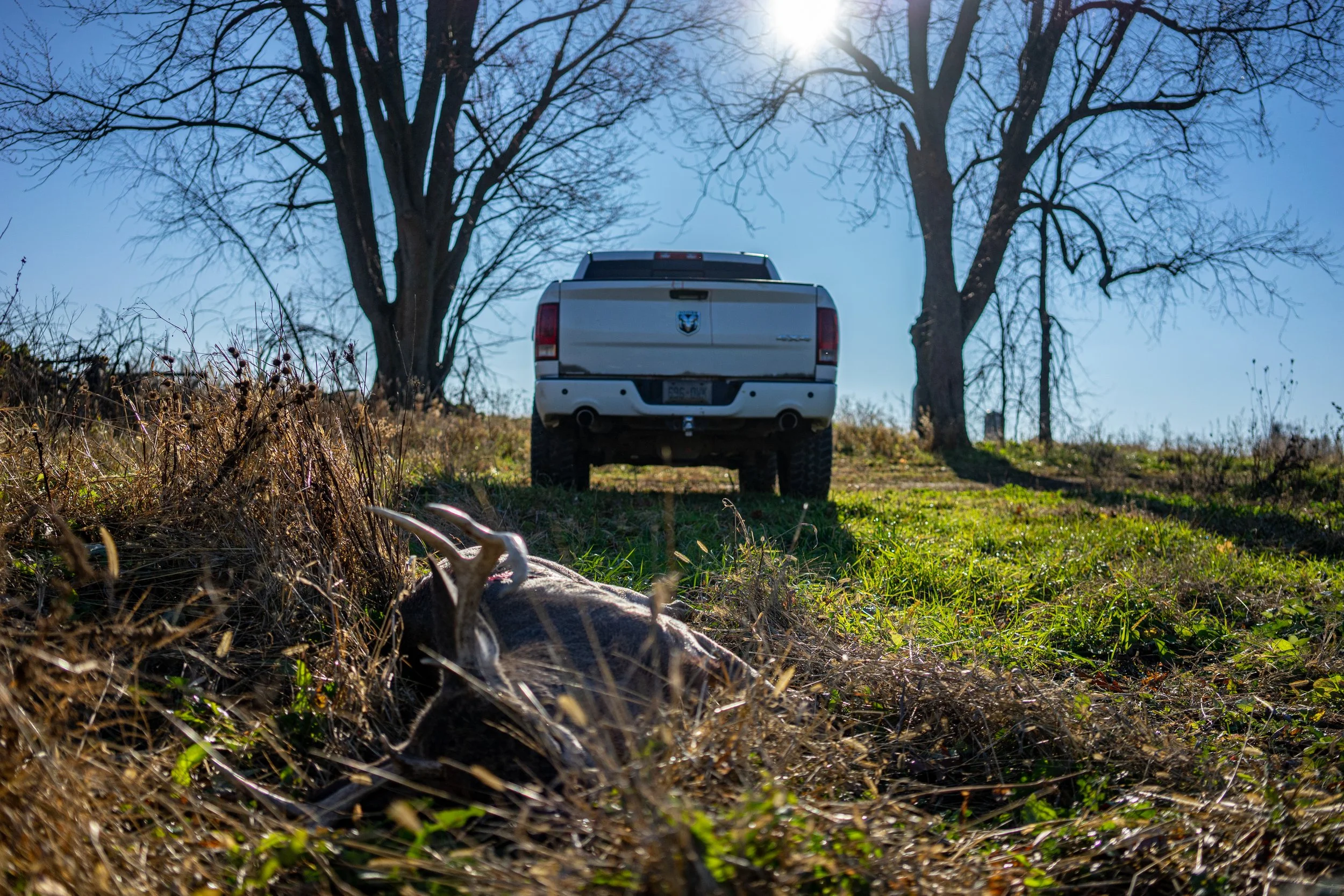 Buck truck .jpg