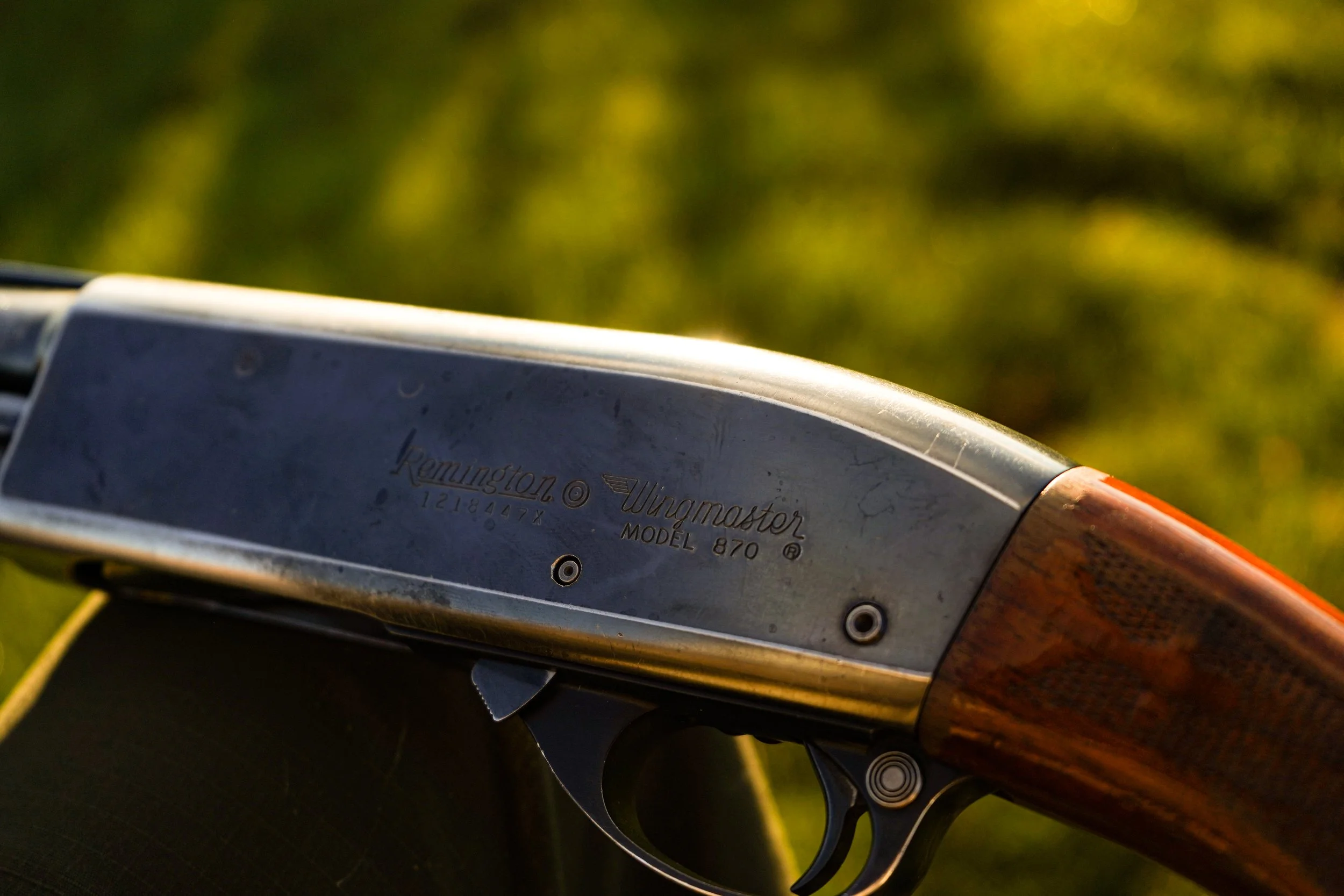 Dove Hunt -1.jpg