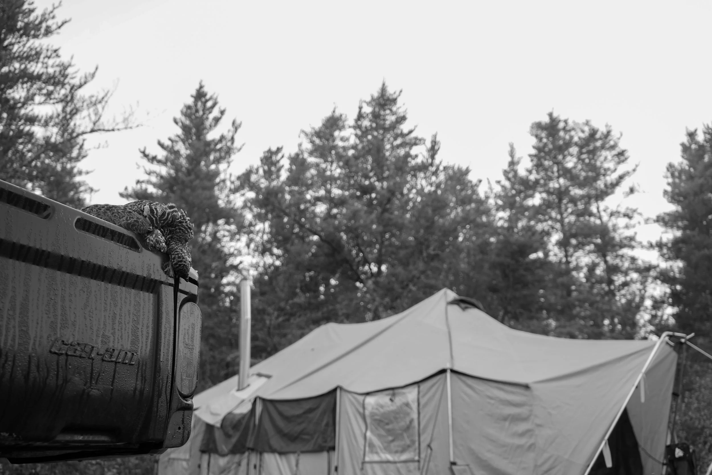 North Website-18.jpg