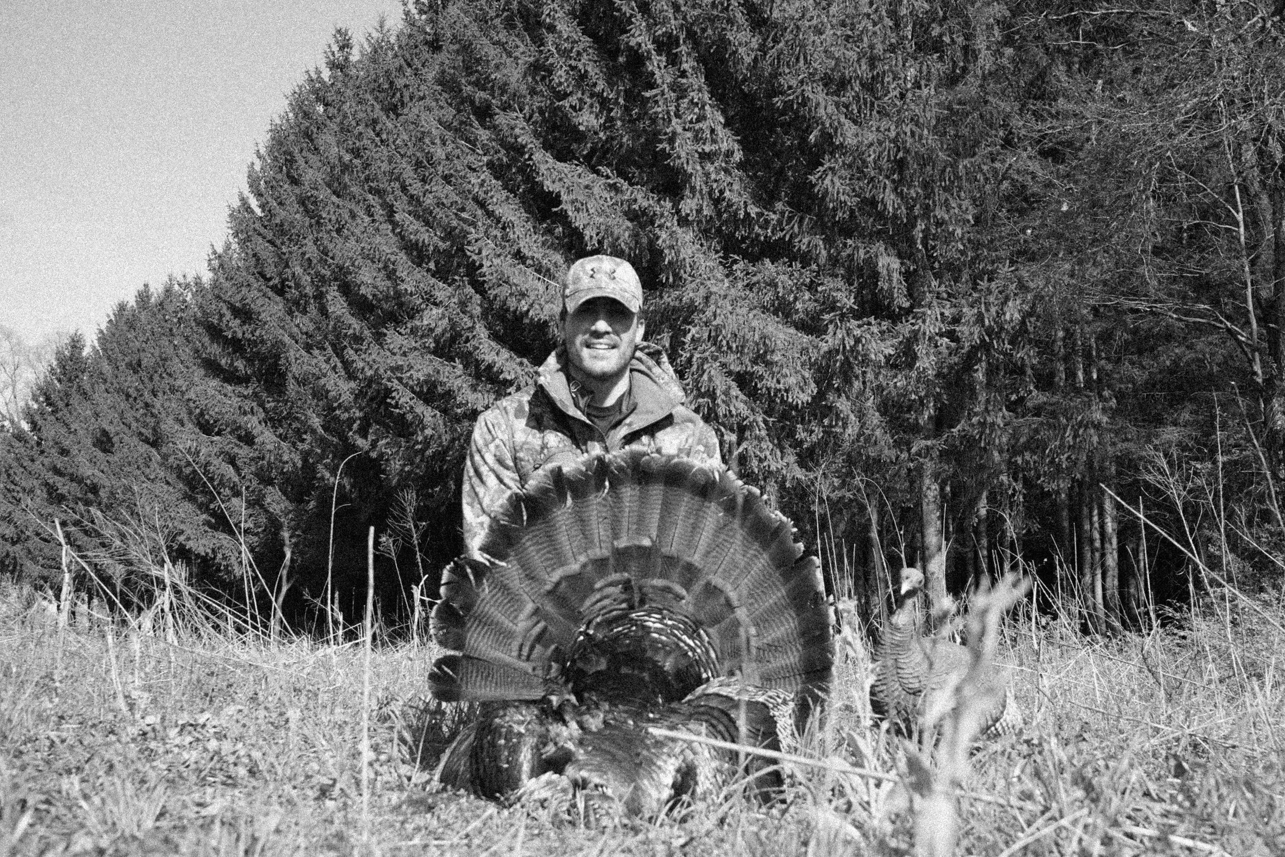 Turkeys Website-30.jpg