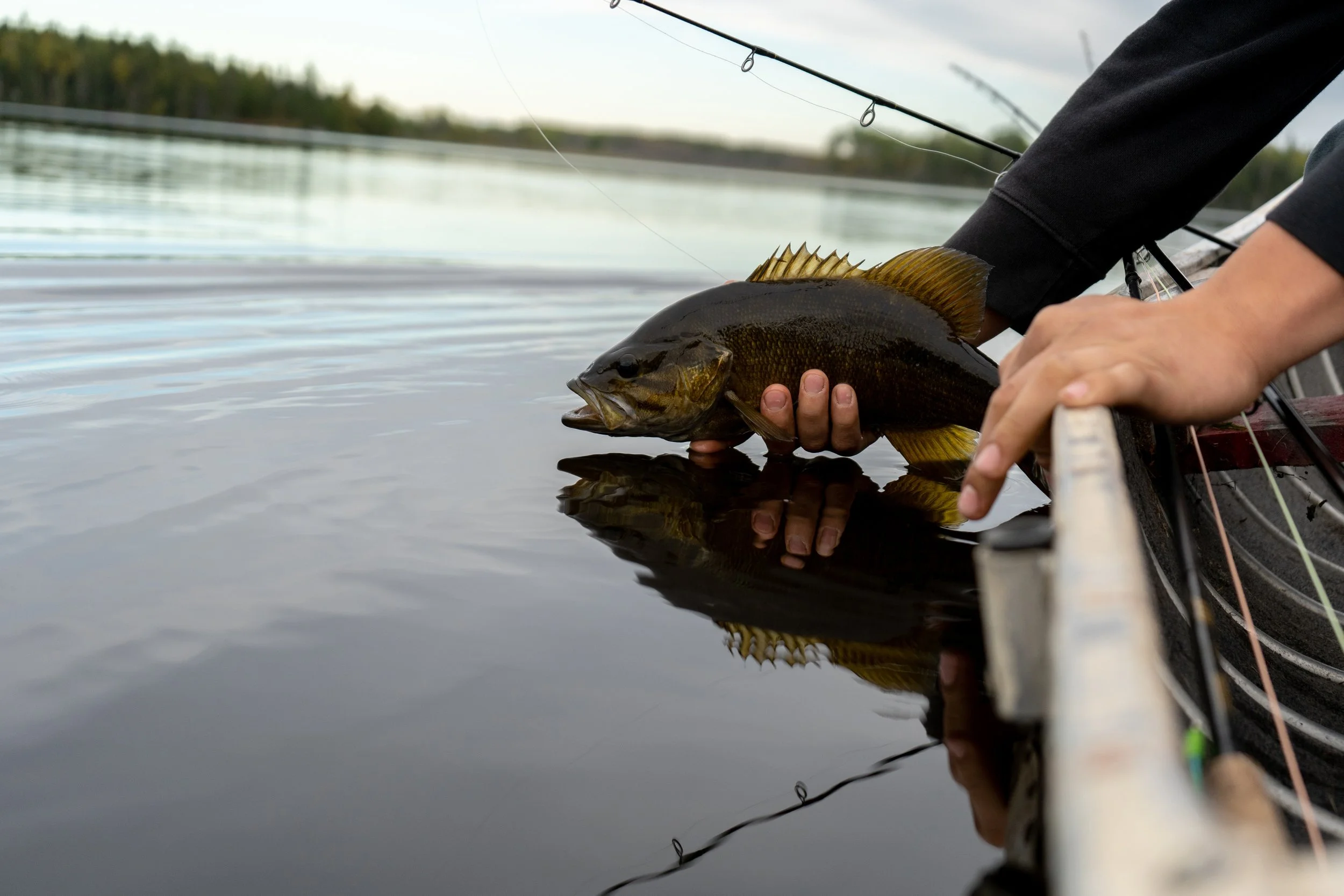 Bass Hough Lake.jpg