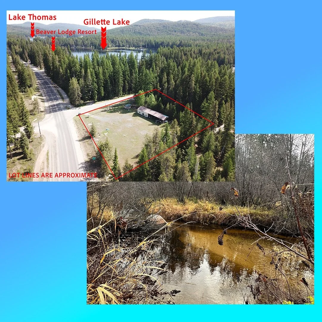 Aerial view of a Stevens County Washington real estate property near Gillette Lake, showing approximate lot lines, wooded acreage, and nearby lakes.