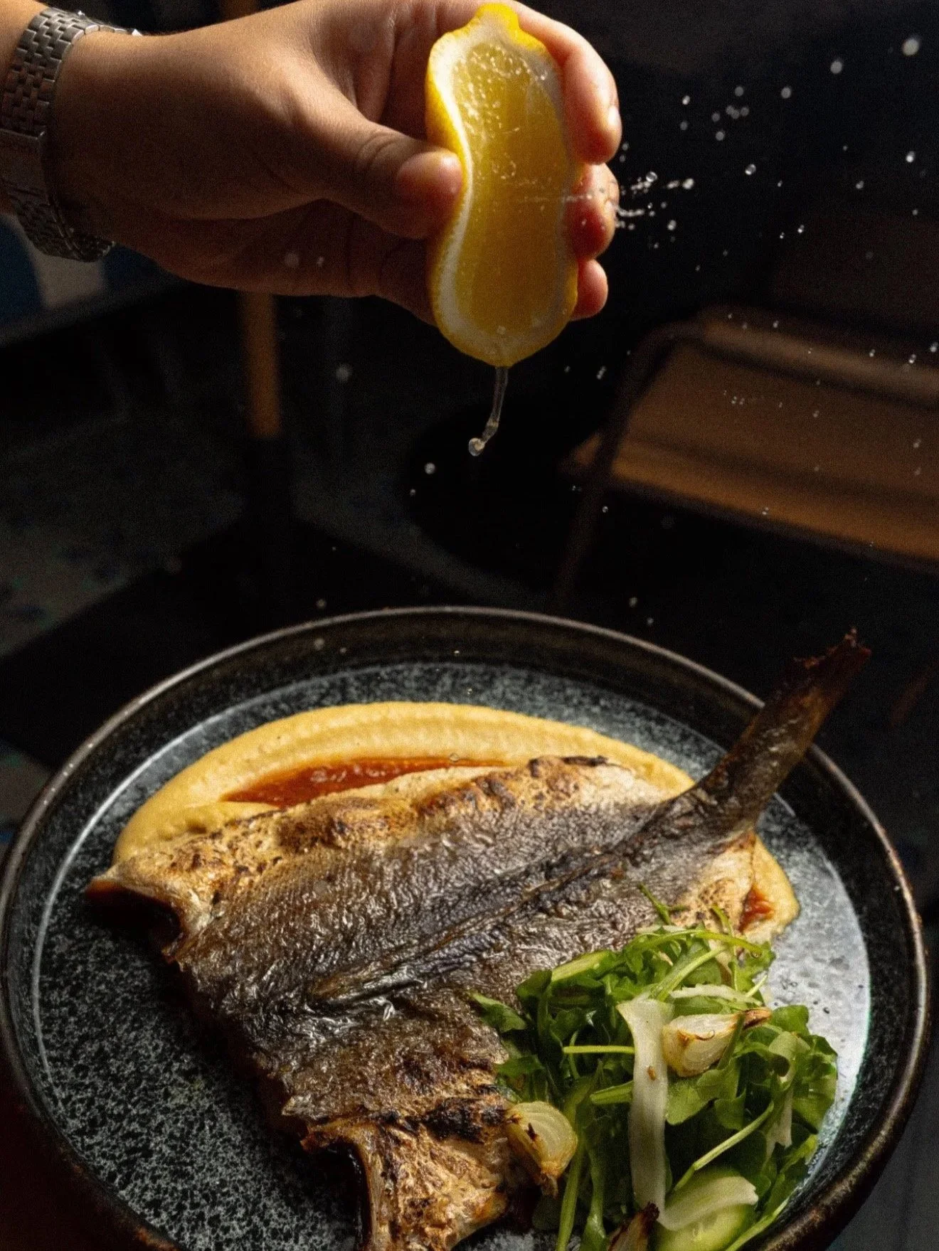 Panama's Freshest Catch: A Guide to Local Seafood and How Bruma Sources It