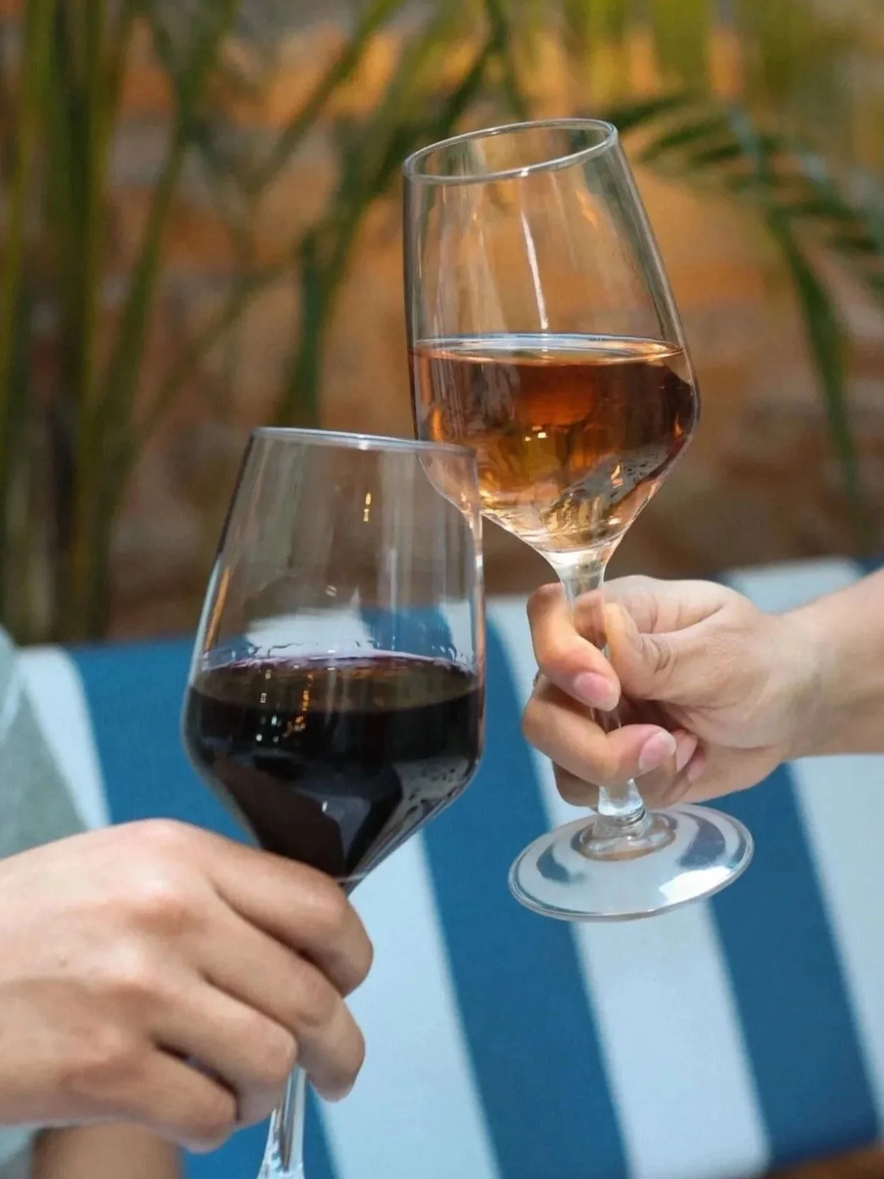 The Best Wines for Seafood in Panama City: A Guide to Bruma's Wine List