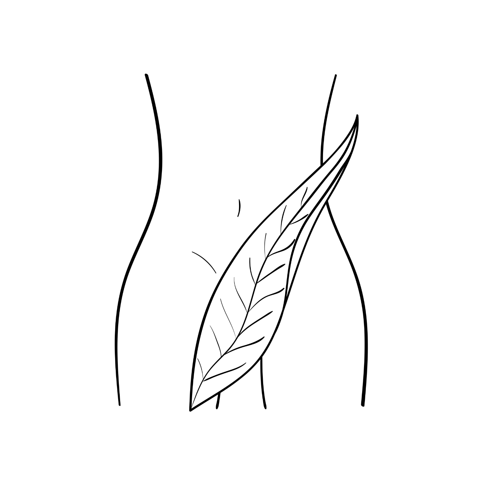 Line drawing of a woman's torso with a large leaf resting against her stomach.
