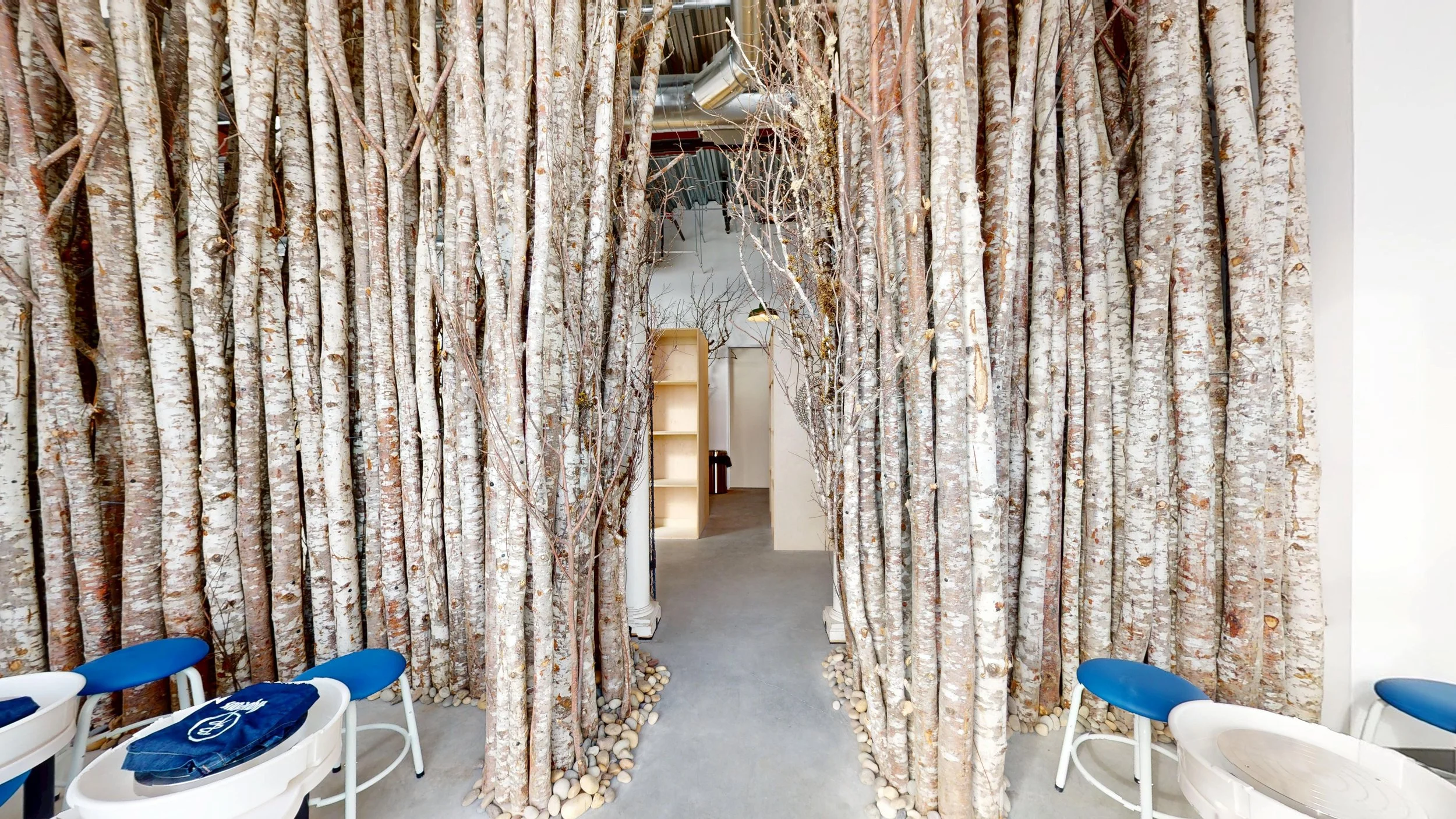 Interior space with walls made of tall birch logs, forming a door frame, with chairs along two sides, and a wooden bookshelf in the background.