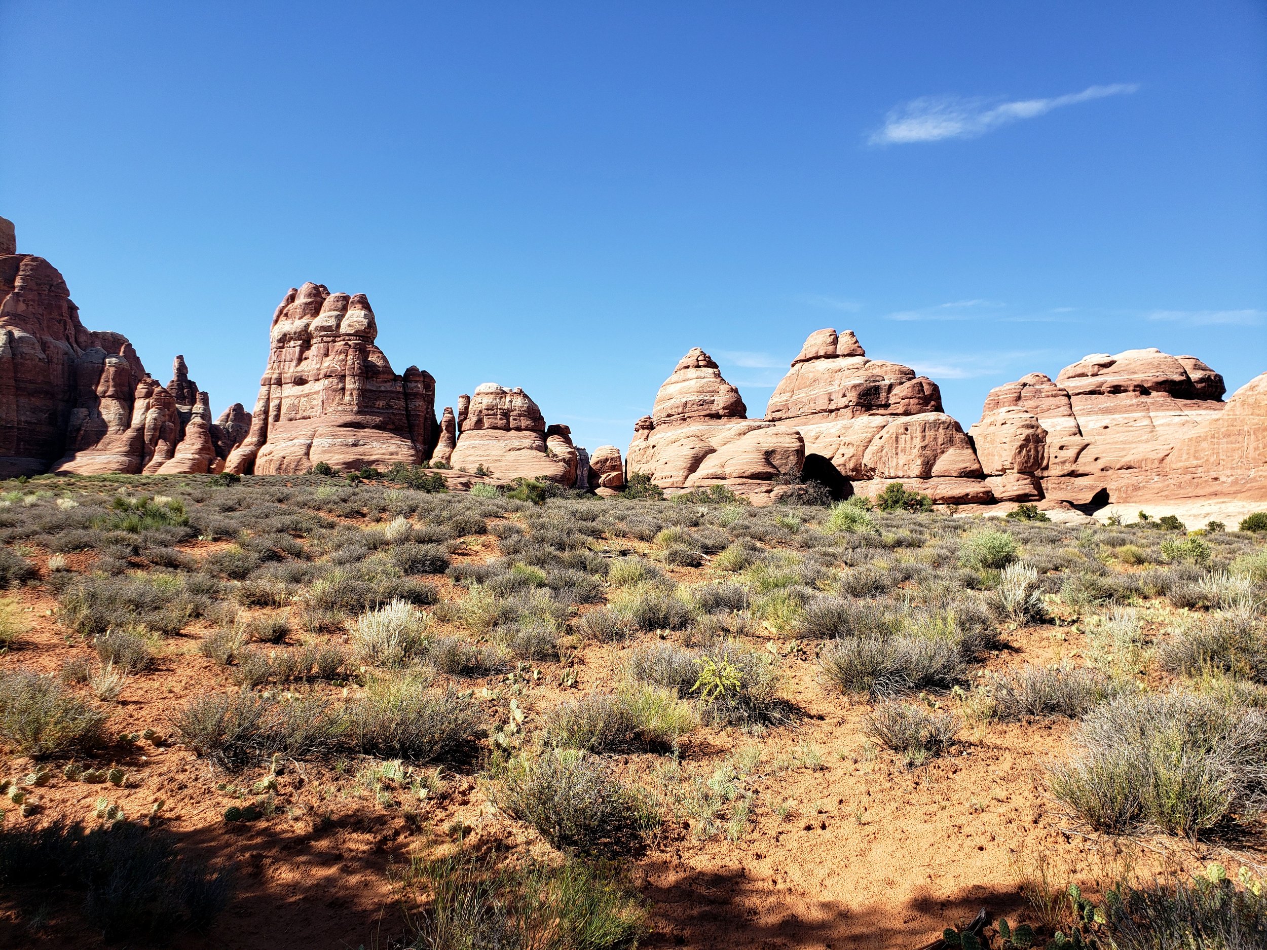 20230820_213721.jpg