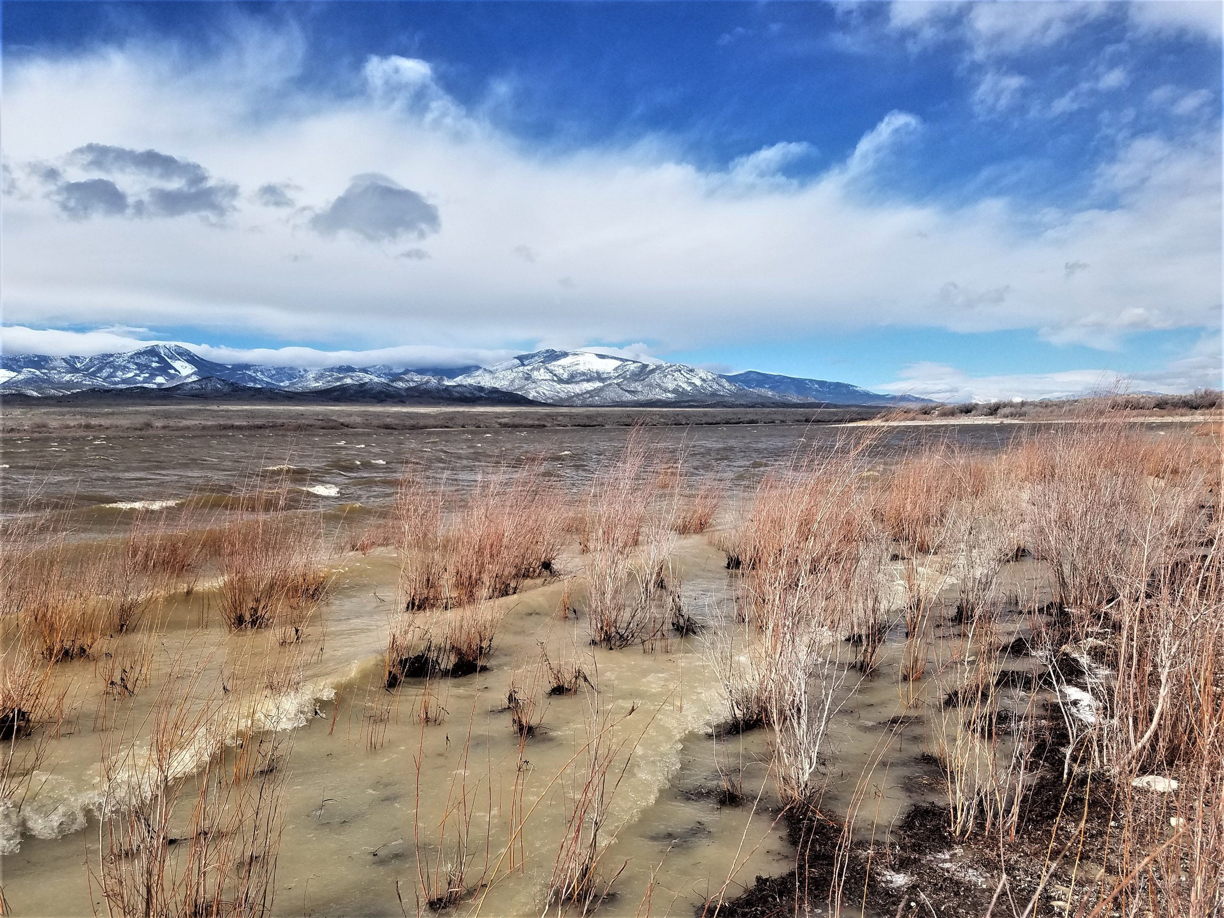 20190227_103654.jpg