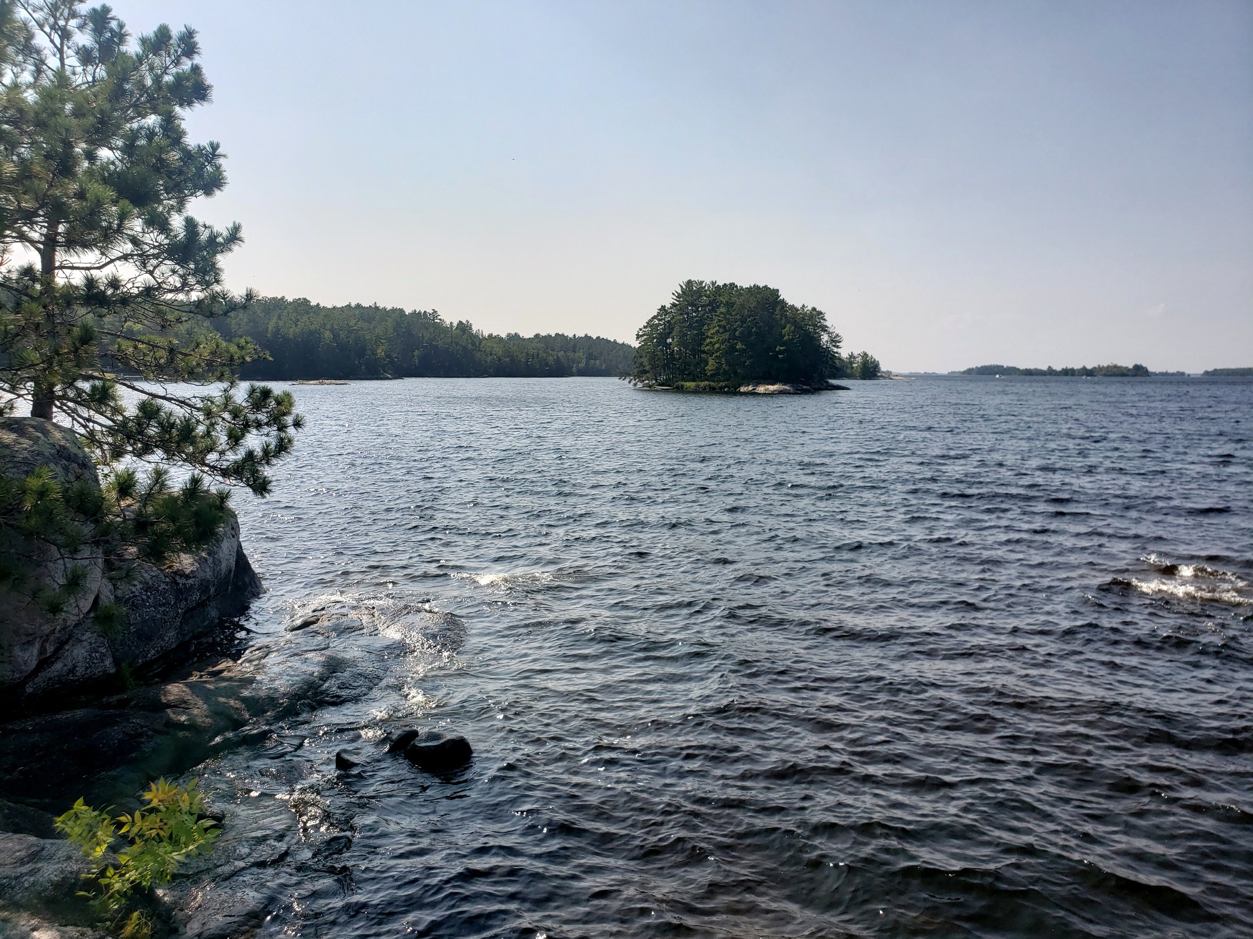 20230903_002936.jpg