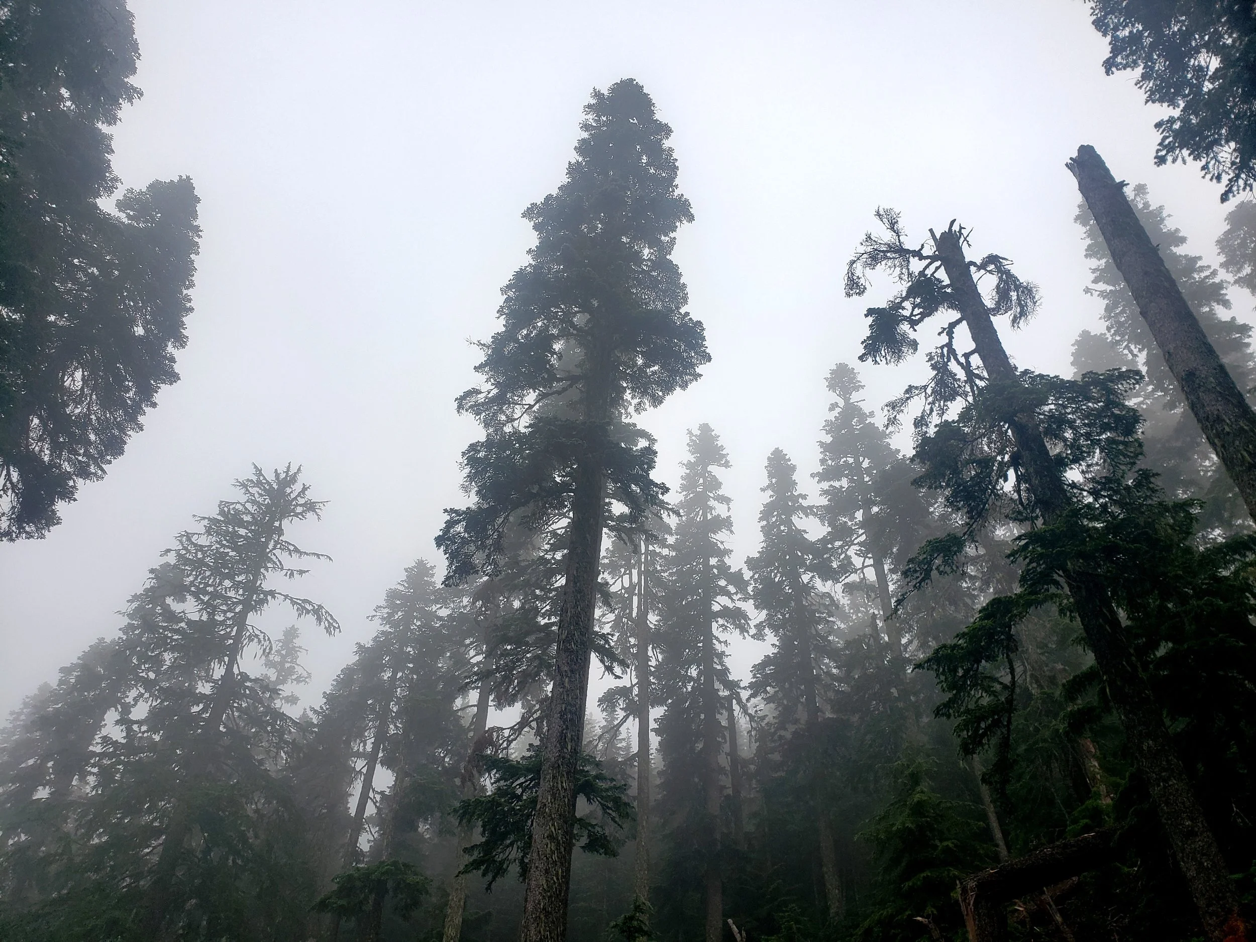 20240825_013827.jpg