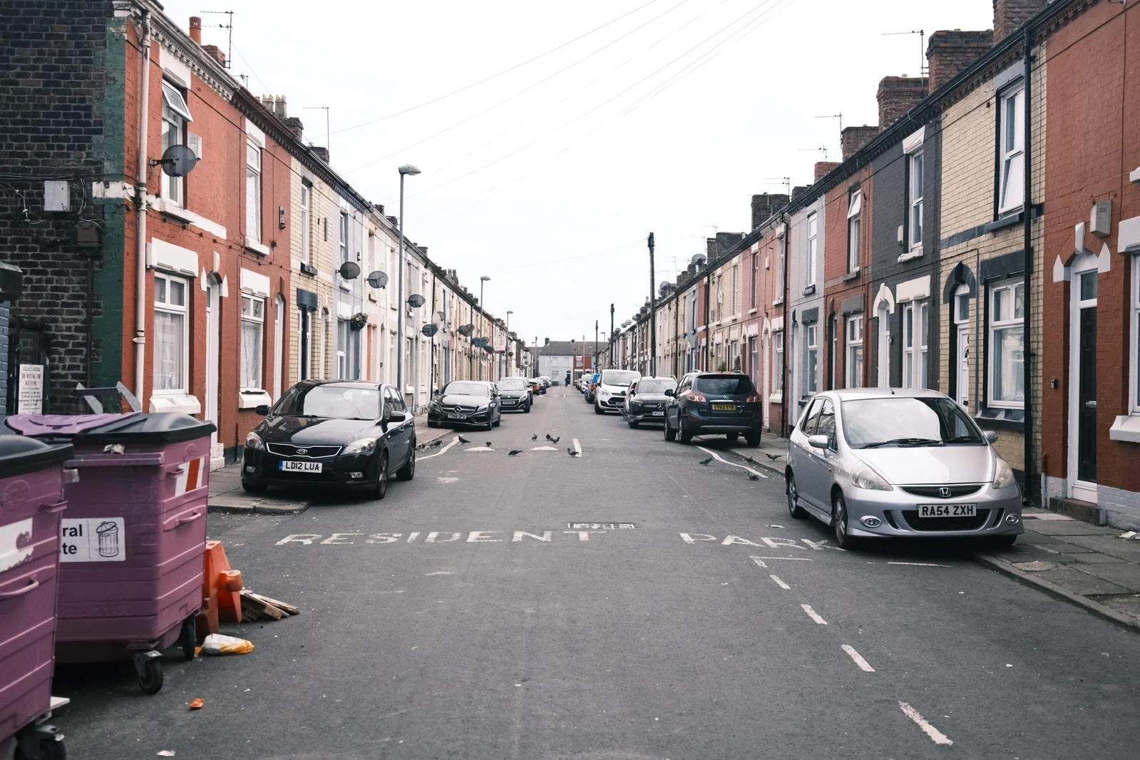 WhatsApp Image 2025-10-15 at 17.27.35.jpeg