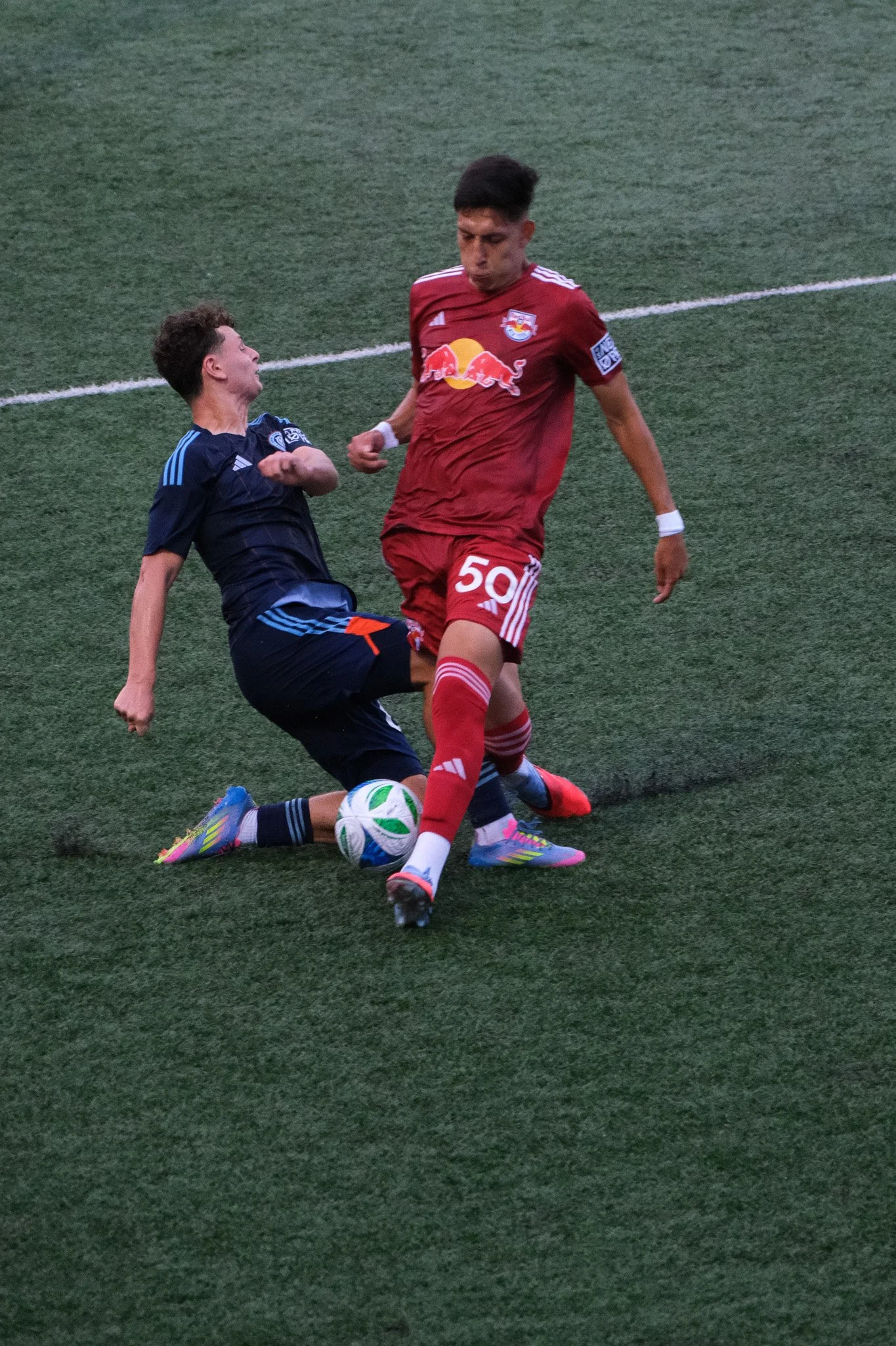 DSCF3740.jpg