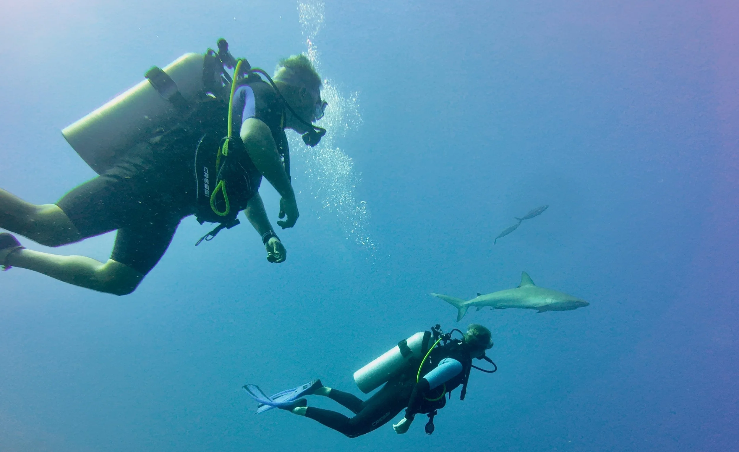 Dana Greg Shark.jpeg