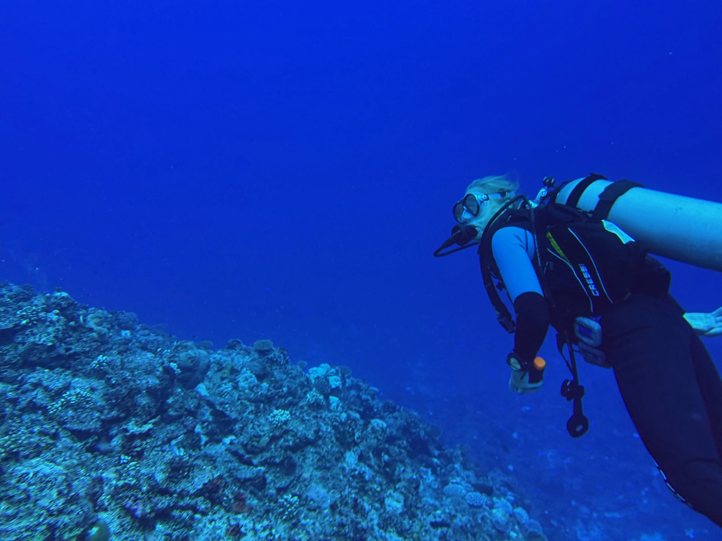 SportDiver_20260528_112621.jpeg