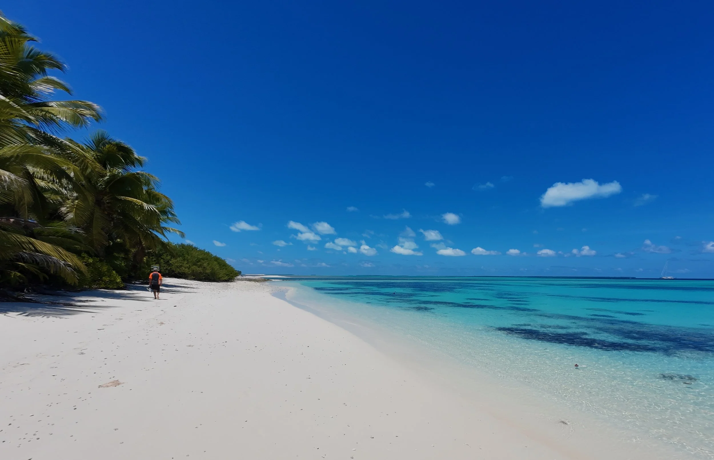 dji_mimo_20261014_123204_20261014123204_1791958191059_photo.jpeg