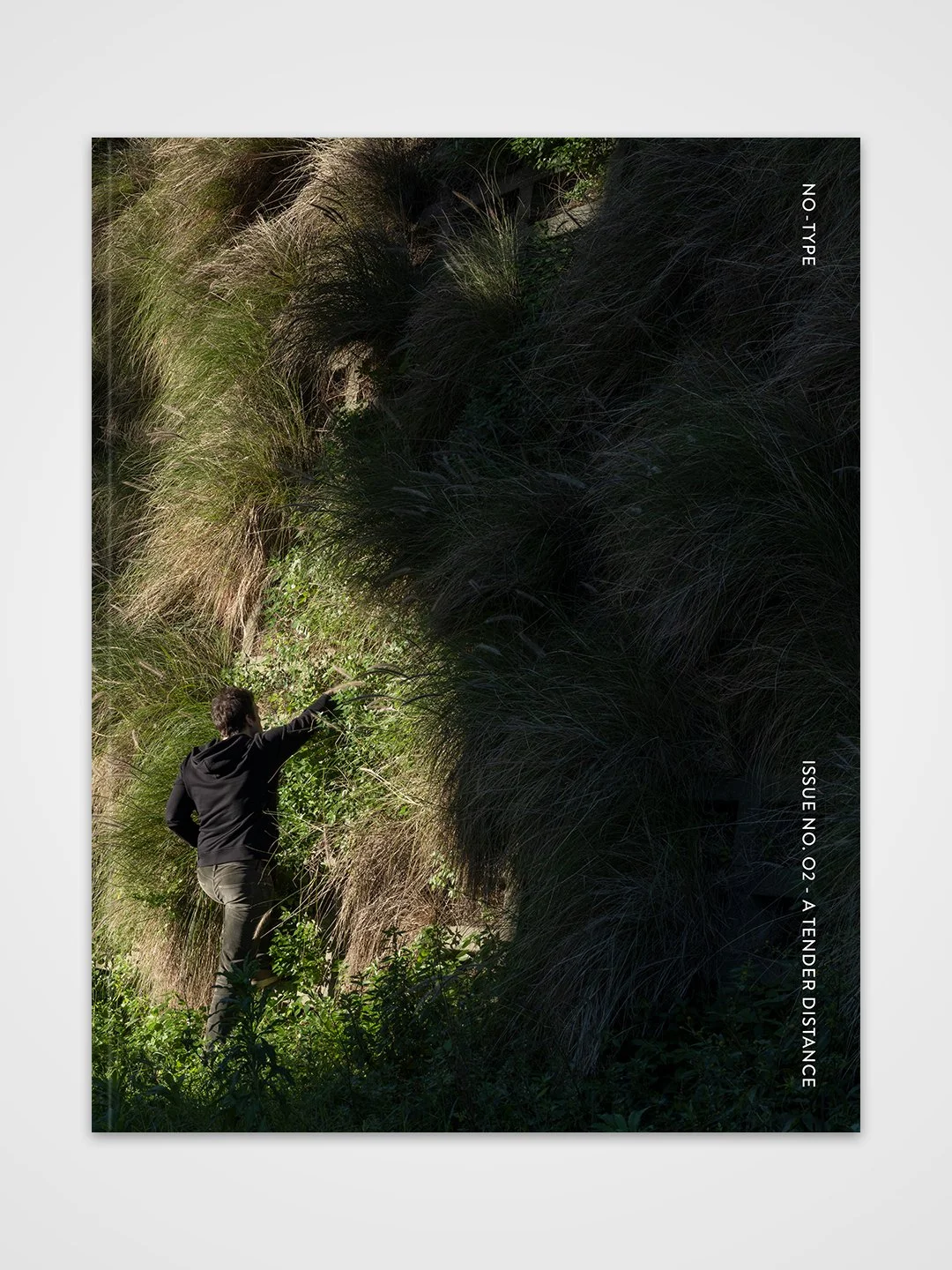 NT - Front Cover.jpg