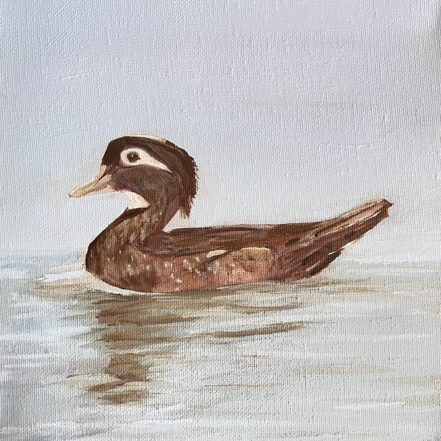 Duck Floating #2, 8x8