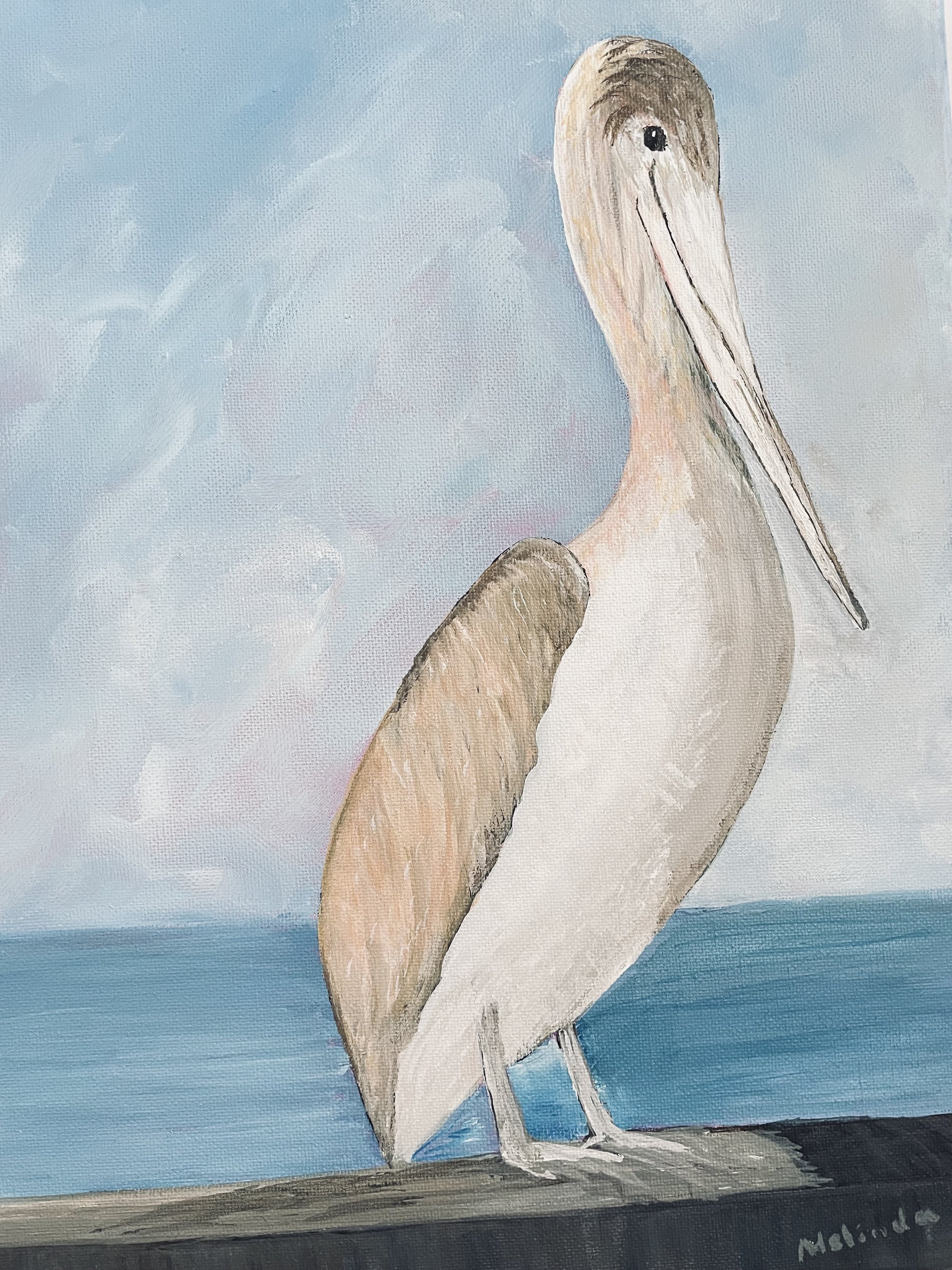 Perky Pelican